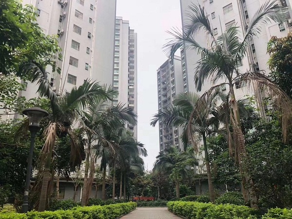 深圳沙井17栋最好村委统建楼《西荟花园》，可以落深户，居家大户型。