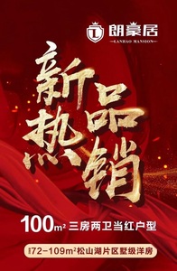 东莞大朗中心小产权《朗豪居》，R1线地铁口800米，远大城市广场商圈